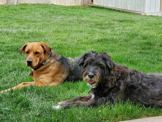 Ziva and Gibbs are happy with Coal Mine vet!