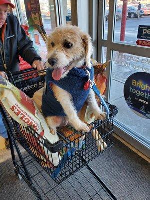 Rosie loves going to spots for her grooming needs. Thank y.