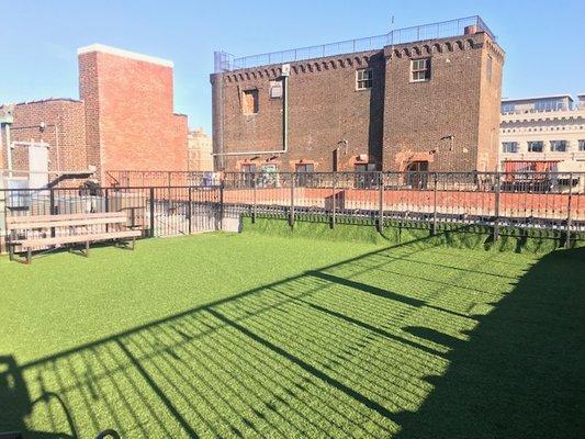 Rooftop dog park