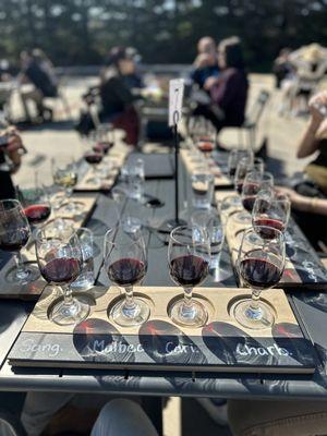 Premium Red Wine Flight