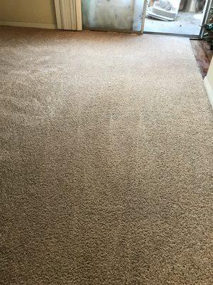 Deep cleaning performed in the living area carpet with grease fighting spray and power scrub tool.