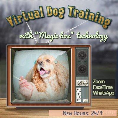 We offer creative, interactive online dog lessons for you that are tailored to your current situation with your dog.