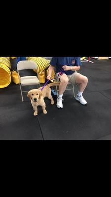 STAR Puppy class at Ruffgers!