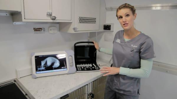 We have full digital X-ray and ultrasound. Visit our site for a list of services. http://www.conciergemobileanimalhospital.com/services/