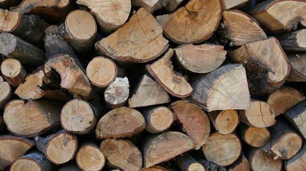 Firewood in all quantities