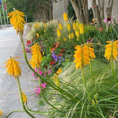 Common Ground Garden at the National Museum of American History