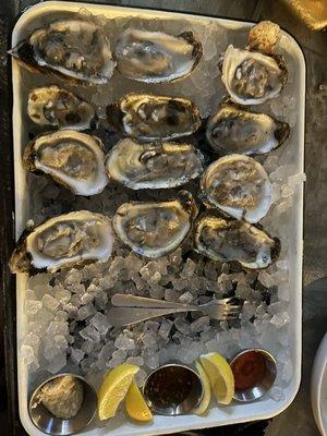 Oysters!