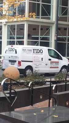 Fido Fitness & Play's pet taxi spotted downtown DC...On the move!!!