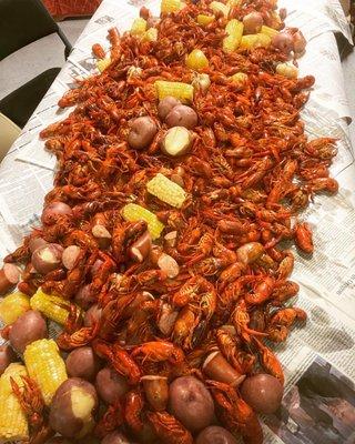 Crawfish Boil. Shipped in Live from Louisiana..