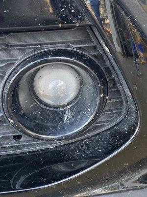 Bugs on grill/fog lights