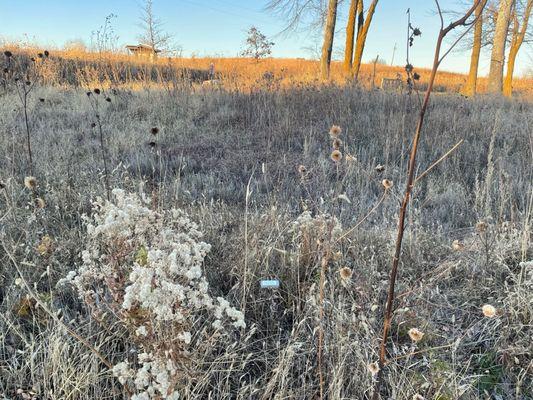 Labeled prairie bird garden