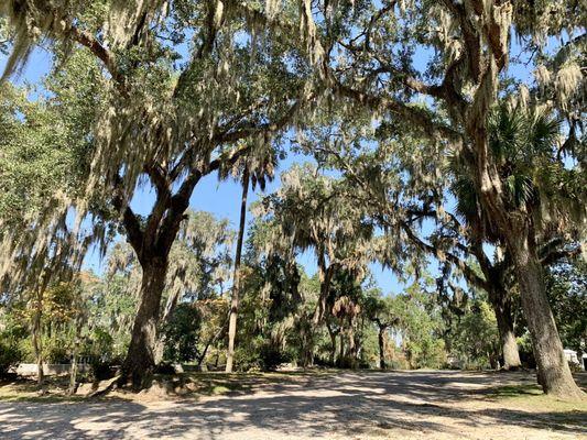 Bonaventure Cemetery was a pleasant surprise. I was expecting to feel sadness being around the deceased, yet the surroundings won me over!