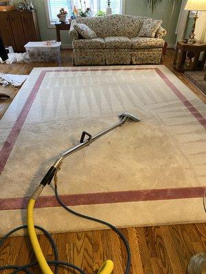 20 Year old area rug. Cleaned yearly and area rug is still like new !