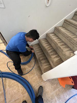 Expert Carpet Cleaning | Stairs