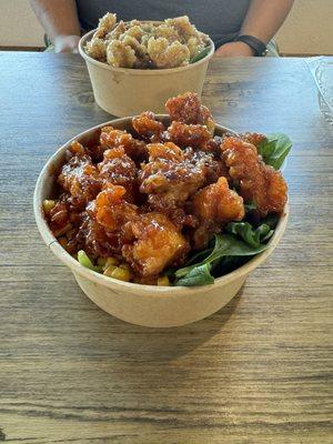 Sweet and Sour chicken (Honey garlic in the back)