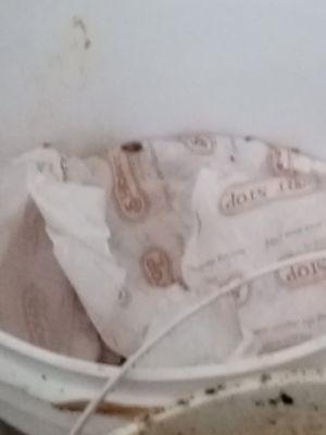 Camera quality is bad buh as you can see there is roaches all over this bucket  manager or coworker don't do nothing about it