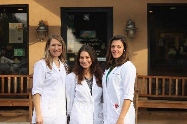 Amelia Island Animal Hospital