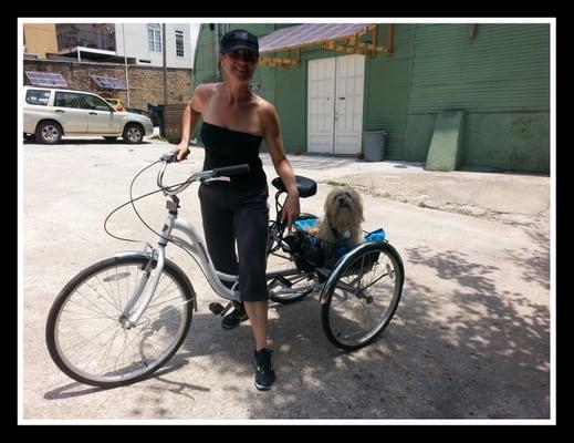 Ready to hit the Beltine on a safe bike thanks to Tim & Diego @ Atlanta Beltline Bicycle.   Happy doggy/happy me.  :)