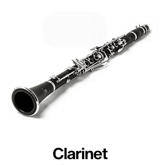 Our quality clarinets are ideal for students eager to join the school band.