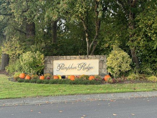 Main entrance sign with pumpkins.