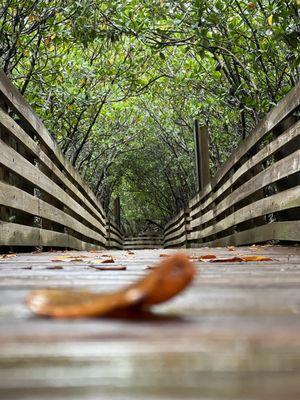 Nature trail