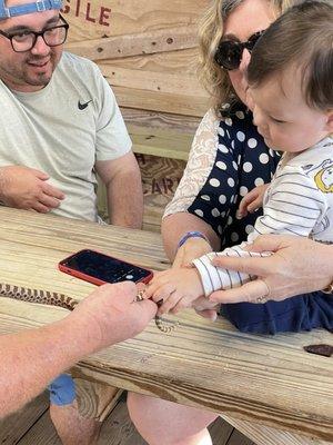 My grandson petting a snake.