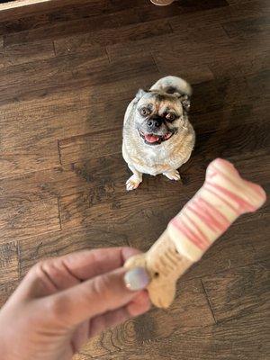 Doggy treatS!