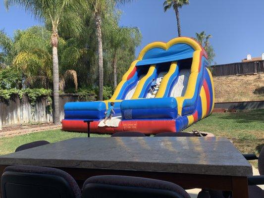 24 ft double slide in back yard