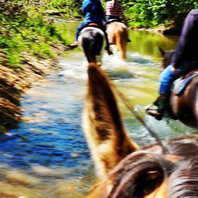 Riding down the river