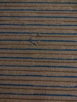 Torn carpet