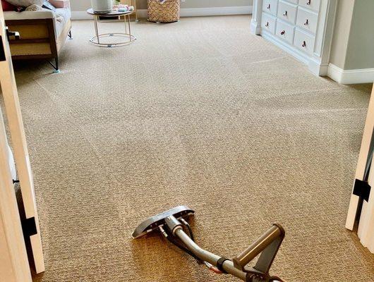 Carpet Cleaning