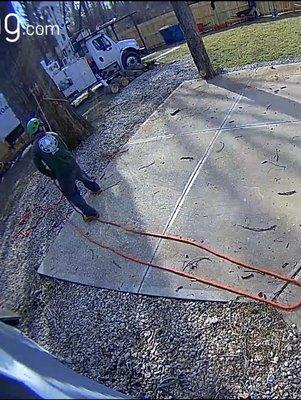 Broad ripple tree breaking my patio