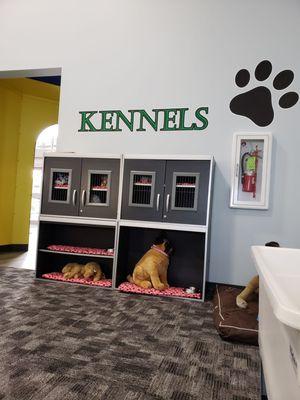 Kennels in vet area