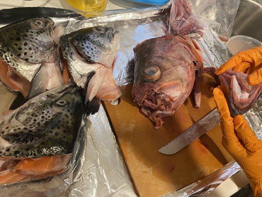 Cleaning salmon and grouper head at home.