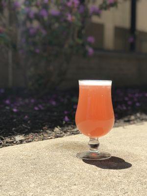 Nefarious Sinberry Sour (Berliner Weisse)