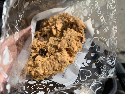 Oatmeal chocolate chunk cookie