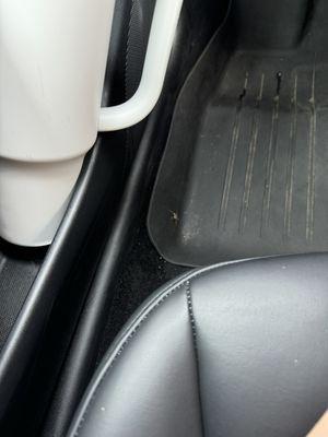 Spider in car after way