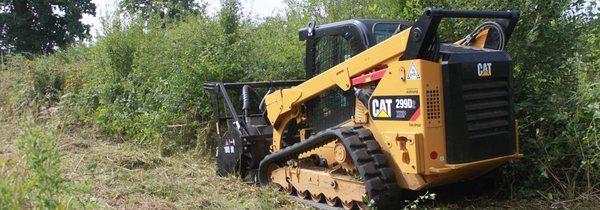 Clearing underbrush and small trees.