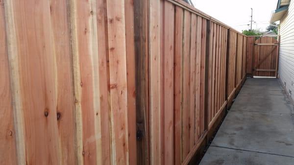 Jose recommended we get a taller fence for privacy which turned out beautifully.