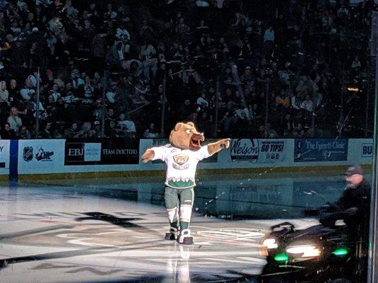 Silvertips mascot.