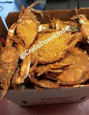 crabs down under llc