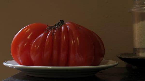 Heirloom Tomato from last week