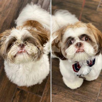 Frankie's before and after