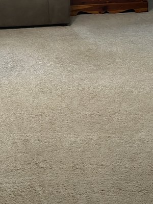 Cleaned carpet