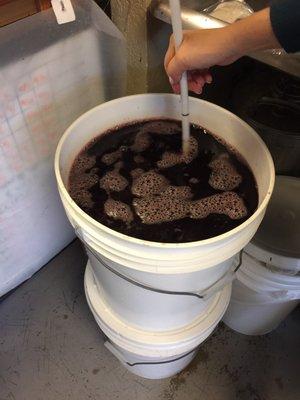 Wine making