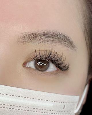 Wispy hybrid lashes