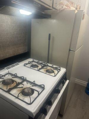 Your fully "renovated" stove and fridge