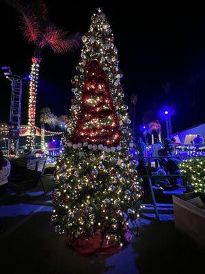 Christmas Trees in The Ice Skating Rink area @ The Elf on The Shelf in Pomona CA.