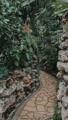 A leafy green path in the Oak Park Conservatory.