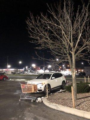 Ppl nicely parked their cart